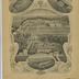Catalogue de graines de semence