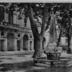 St-Rémy-de-Provence  Hôtel de ville et Fontaine aux Dauphins (XIXe s.)