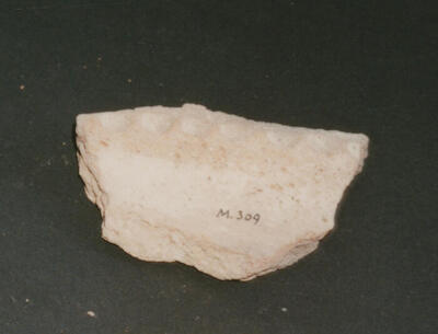 M_309