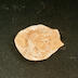 Lampe (fragment de médaillon)