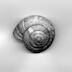 Coquille d'escargot