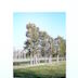 Paysage agricole