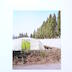 Paysage agricole