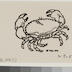 Crabe