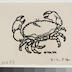 Crabe