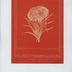 Catalogue de semences Honoré Roumanille et Fils