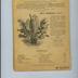 Catalogue de graines de semence "Vilmorin-Andrieux et Cie"
