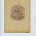 Catalogue de semences Honoré Roumanille et Fils
