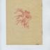 Catalogue de semences Honoré Roumanille et Fils